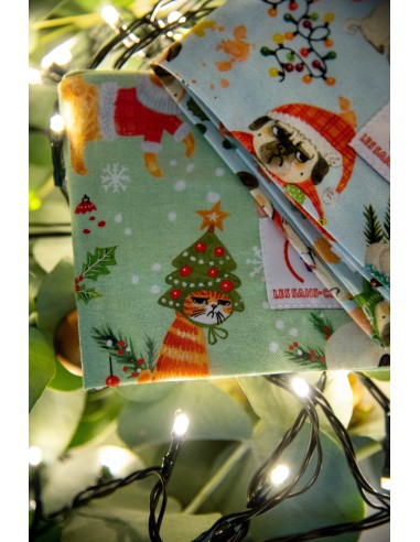 Calot classique Temps de chien - Les Sans-calottes