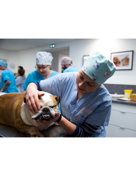 Calot classique Royal - Les Sans-calottes